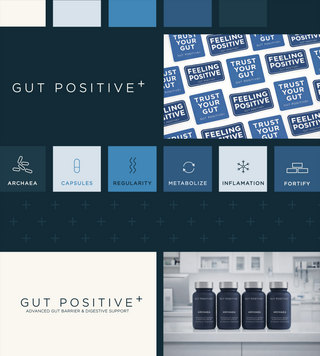 Supplement brand identity system for Gut Positive featuring color palette, icons, typography, and packaging visuals